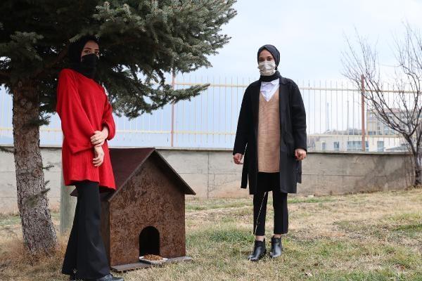 Belediye Başkanı Eyüp Eroğlu üniversite öğrencisinin kedi evi isteğini yerine getirdi