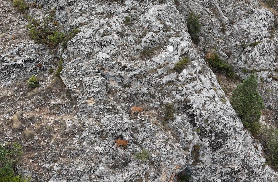 Tokat’ta Dron ile Doğa Güzellikleri Keşfedildi