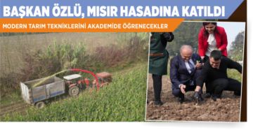 DÜZCE BELEDİYE BAŞKANI ÖZLÜ, MISIR HASADINA KATILDI