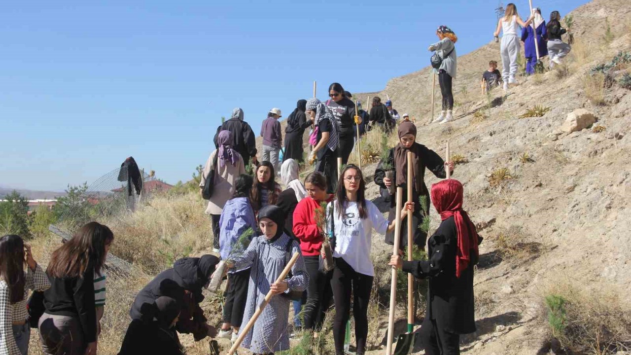 6 ülkeden 10 gönüllü Sivas’ı yeşertmek için kolları sıvadı – Tokat Haberleri – Tokat Son Dakika