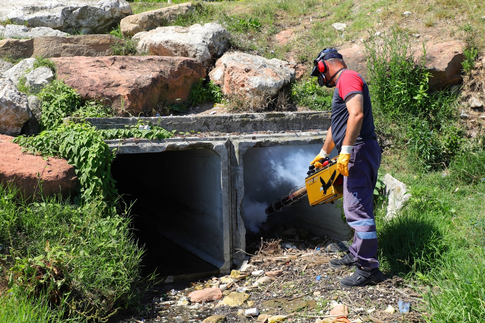 BÜYÜKŞEHİR VEKTÖRLERE KARŞI SAVAŞINI SÜRDÜRÜYOR