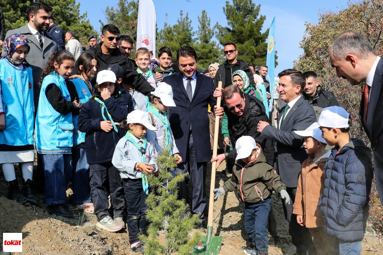 Tokat’ta 30 bin fidan toprakla buluşuyor – Tokat Haberleri – Tokat Son Dakika