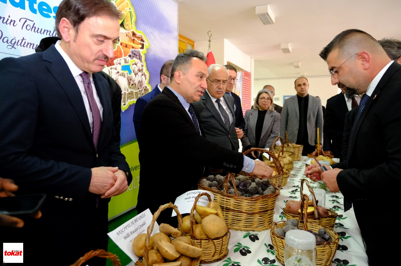 Tokat’ta üreticiye tohumluk Milli Patates – Tokat Haberleri – Tokat Son Dakika