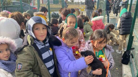 Yozgat’taki Evcil Köy’de çocuklar ve gençler, patili dostlarla buluştu – Tokat Haberleri – Tokat Son Dakika