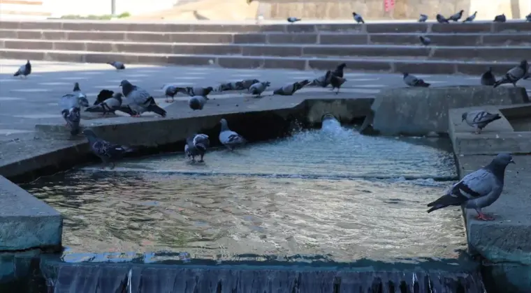 Tokat 47, Amasya 45 Derece: Sıcak Hava Etkili